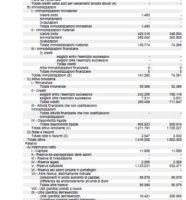 Visura bilancio società