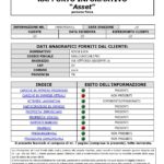 Report investigativo su persona Falco Asset