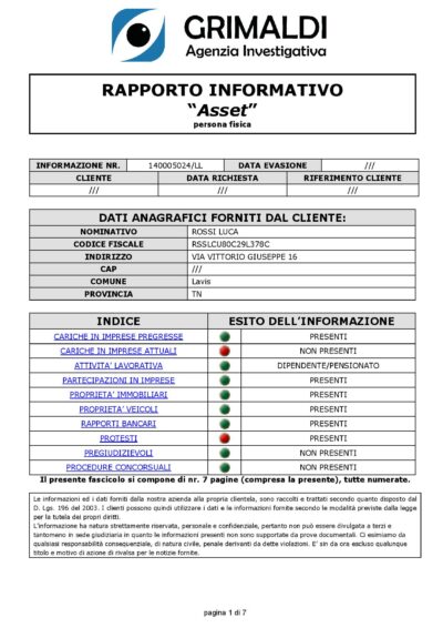 Report investigativo su persona Falco Asset